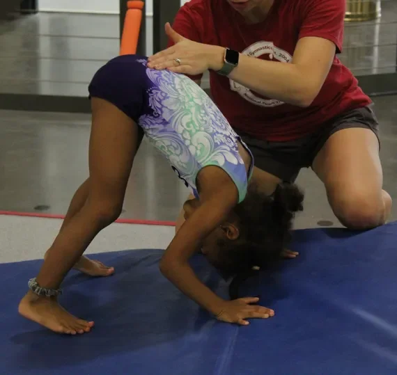 BEGINNER GYMNASTICS CLASS BEGINNER GYMNASTICS CLASS